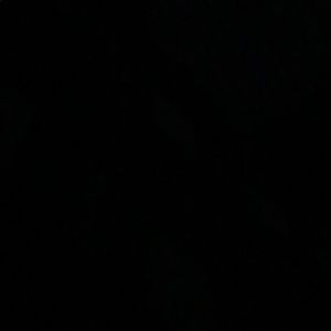 Meet your Posher, Timothy